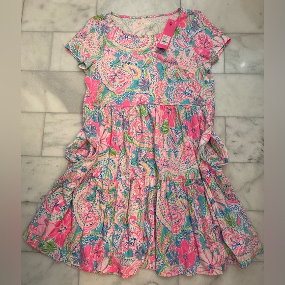 Lilly Pulitzer Geanna Short Sleeve Dress in Multi Flock Full of Fun - Picture 3 of 8